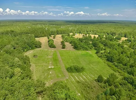 81363 George Sanner Road Road Village Mills TX 77663