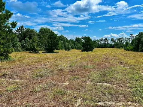 81363 George Sanner Road Road Village Mills TX 77663