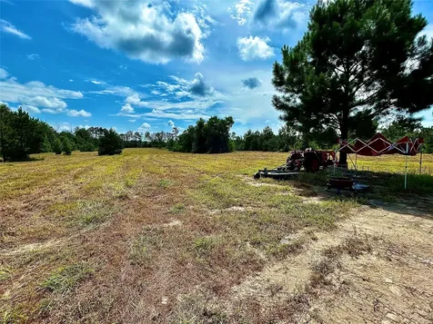 81363 George Sanner Road Road Village Mills TX 77663