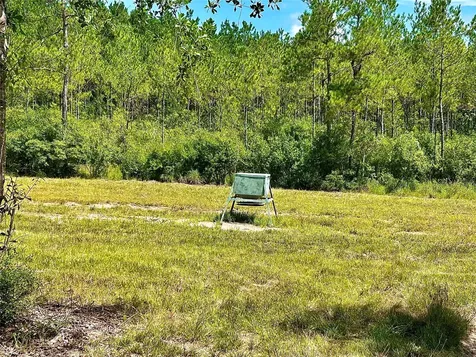 81363 George Sanner Road Road Village Mills TX 77663