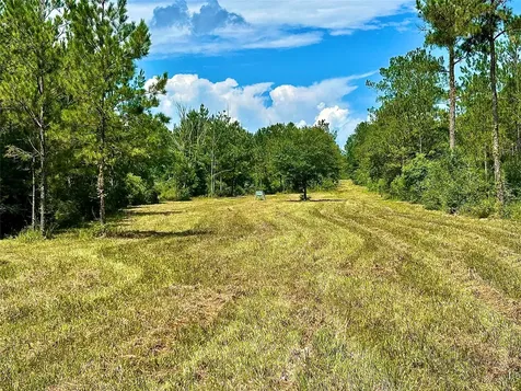 81363 George Sanner Road Road Village Mills TX 77663