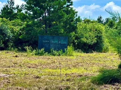 81363 George Sanner Road Road Village Mills TX 77663