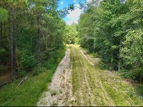 81363 George Sanner Road Road Village Mills TX 77663