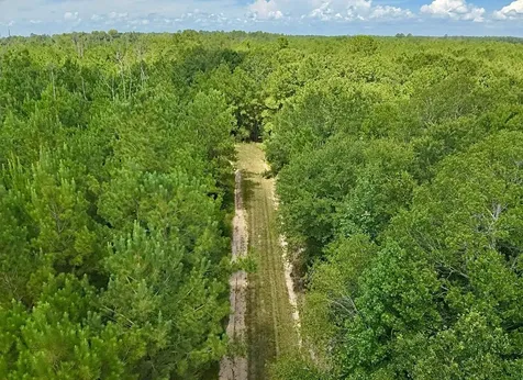 81363 George Sanner Road Road Village Mills TX 77663