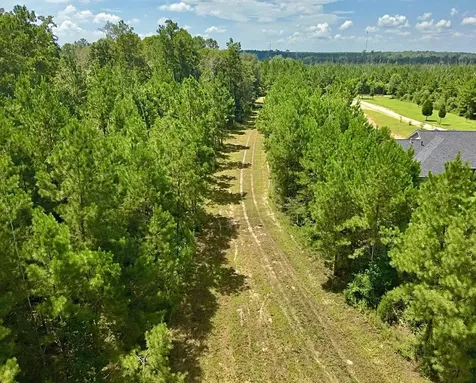 81363 George Sanner Road Road Village Mills TX 77663