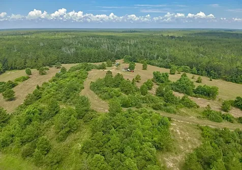 81363 George Sanner Road Road Village Mills TX 77663