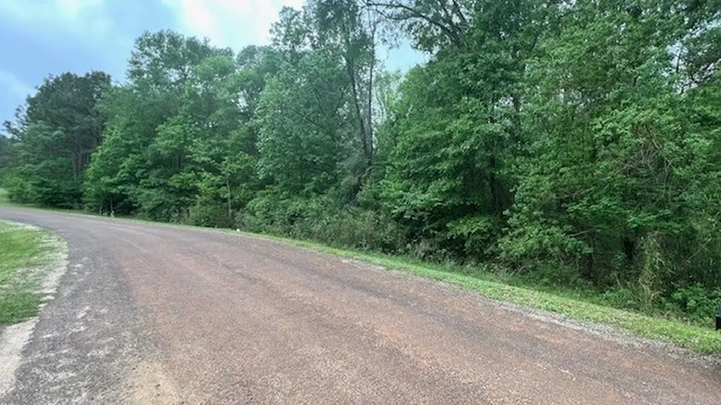 Tbd Lot 13 & 14 Eastgate Livingston TX 77351