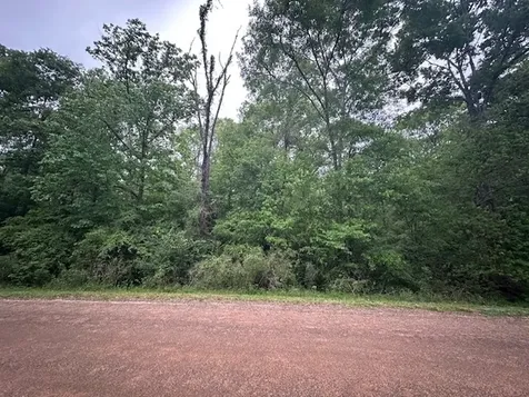 Tbd Lot 13 & 14 Eastgate Livingston TX 77351