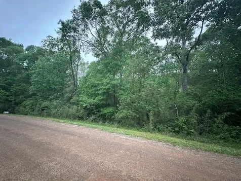 Tbd Lot 13 & 14 Eastgate Livingston TX 77351