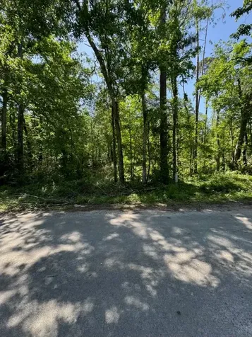 146 County Road 3475 Cleveland TX 77327