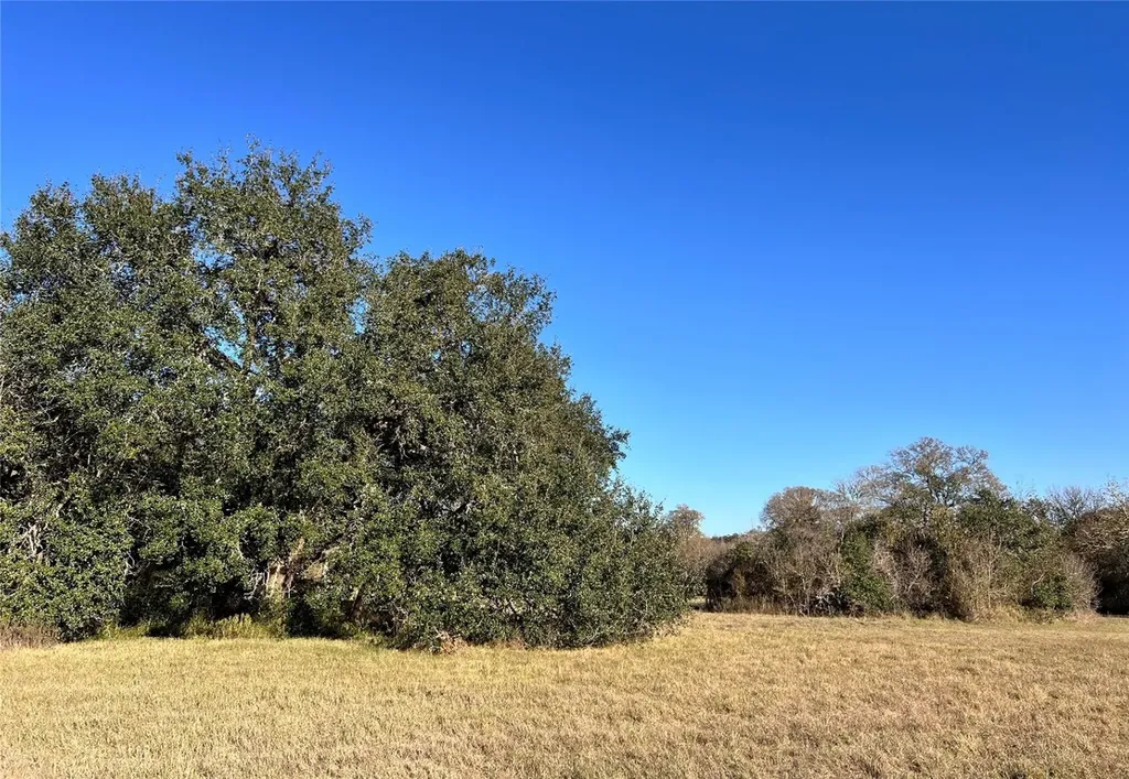 Lot 3 County Road 137 Caldwell TX 77836