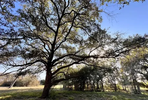 Lot 3 County Road 137 Caldwell TX 77836