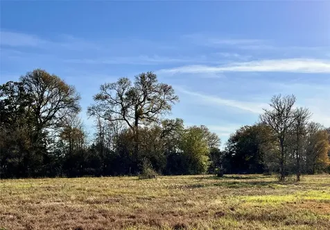 Lot 3 County Road 137 Caldwell TX 77836