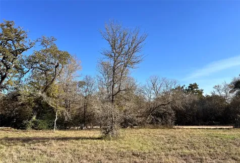 Lot 3 County Road 137 Caldwell TX 77836