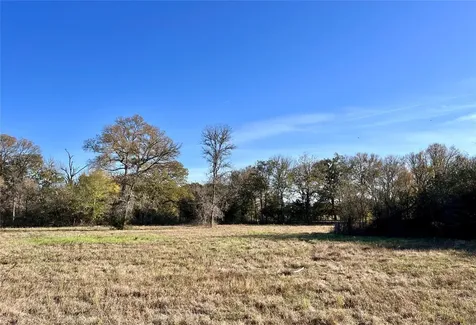 Lot 3 County Road 137 Caldwell TX 77836