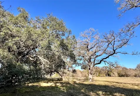Lot 3 County Road 137 Caldwell TX 77836