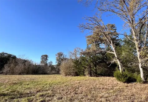 Lot 3 County Road 137 Caldwell TX 77836