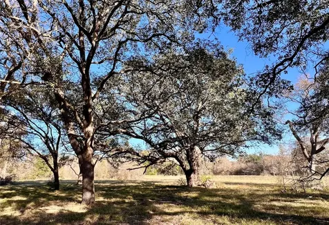 Lot 3 County Road 137 Caldwell TX 77836