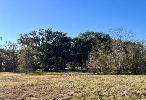 Lot 3 County Road 137 Caldwell TX 77836
