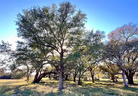 Lot 3 County Road 137 Caldwell TX 77836