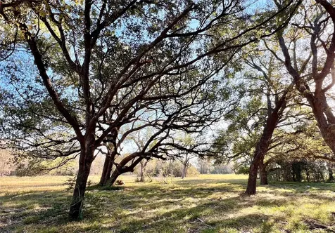 Lot 3 County Road 137 Caldwell TX 77836