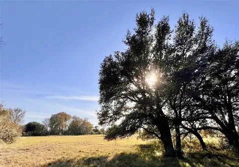 Lot 3 County Road 137 Caldwell TX 77836
