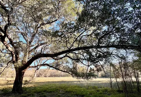Lot 3 County Road 137 Caldwell TX 77836