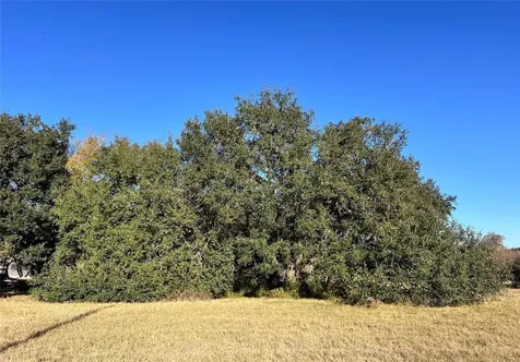 Lot 3 County Road 137 Caldwell TX 77836