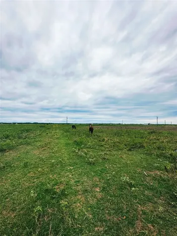 1249 Country Road 141 Garwood TX 77470