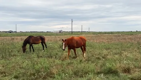 1249 Country Road 141 Garwood TX 77470