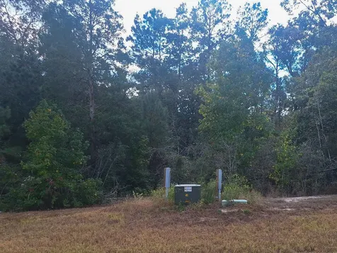 137 Iron Horse Road Willis TX 77378