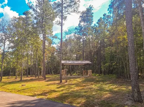 137 Iron Horse Road Willis TX 77378