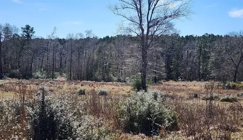 0000 W Us Highway 190 Livingston TX 77351