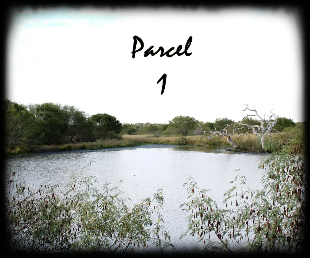 Parcel 1 Lobo Lane Columbus TX 78934