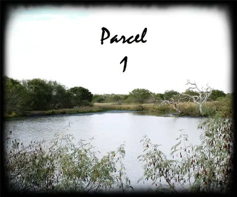 Parcel 1 Lobo Lane Columbus TX 78934