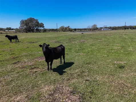 Tr. 1 Reitz Quinn Road Cat Spring TX 78933
