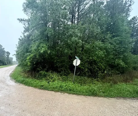 0 Meadowlark Lane Livingston TX 77351