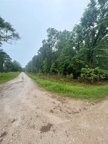 0 Meadowlark Lane Livingston TX 77351