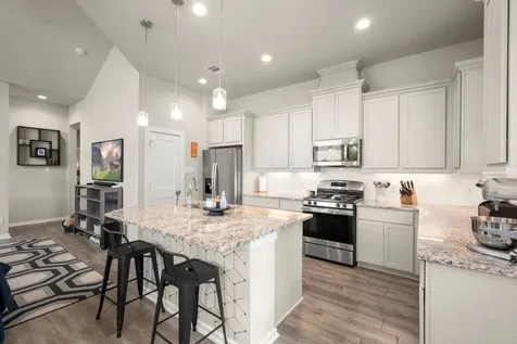 255 S Spotted Fern Drive Montgomery TX 77316