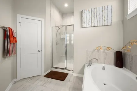 255 S Spotted Fern Drive Montgomery TX 77316