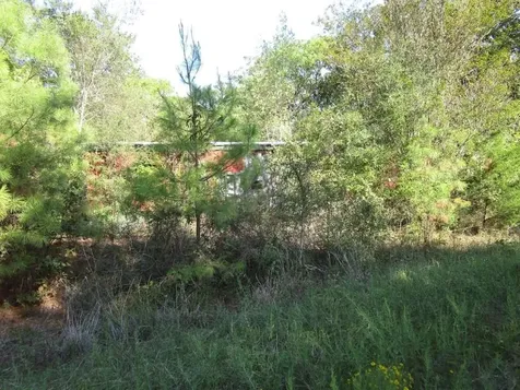 228 Kelly Drive Trinity TX 75862