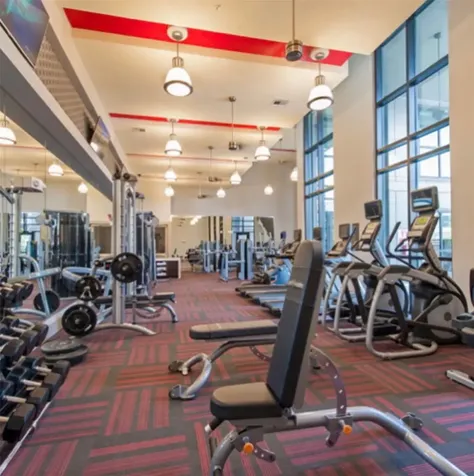 2033 S Gessner Road 2108 Houston TX 77063