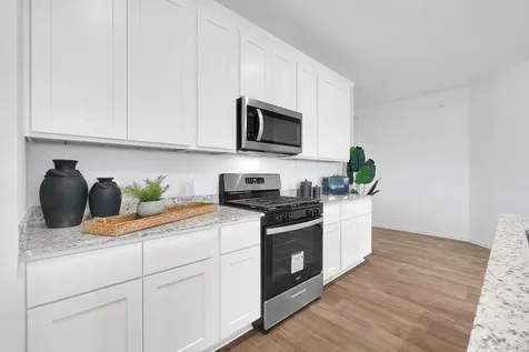 30107 Broeder Way Court Fulshear TX 77441