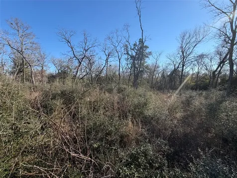 Lot 29 Cr 389 Jewett TX 75846