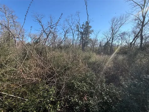 Lot 29 Cr 389 Jewett TX 75846