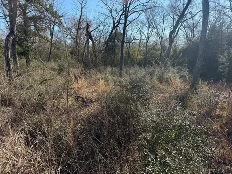 Lot 29 Cr 389 Jewett TX 75846