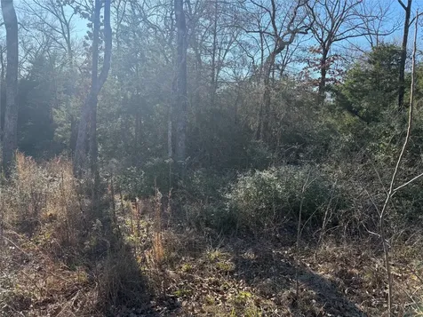 Lot 29 Cr 389 Jewett TX 75846