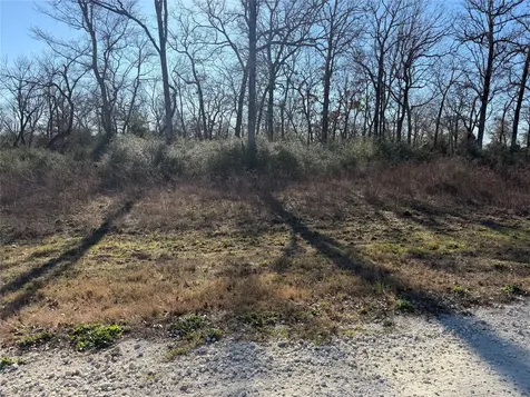 Lot 29 Cr 389 Jewett TX 75846