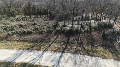Lot 29 Cr 389 Jewett TX 75846