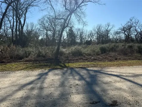 Lot 29 Cr 389 Jewett TX 75846